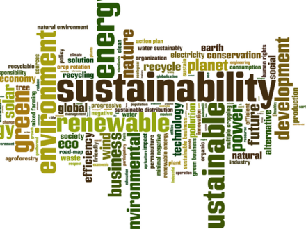 Activating ESG & Sustainability Through People