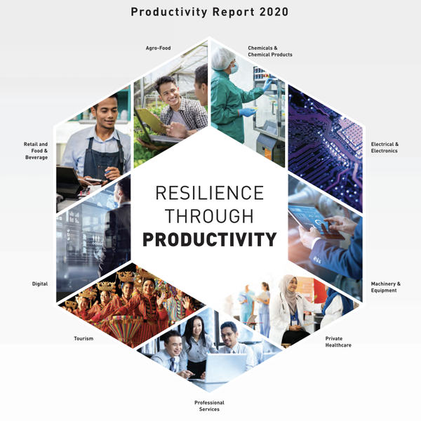 Productivity Report 2020