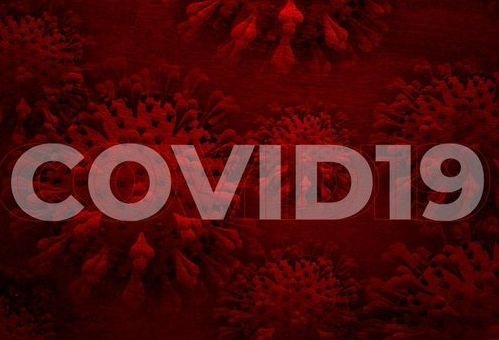 COVID-19: What you need to know about the coronavirus pandemic on 28 June