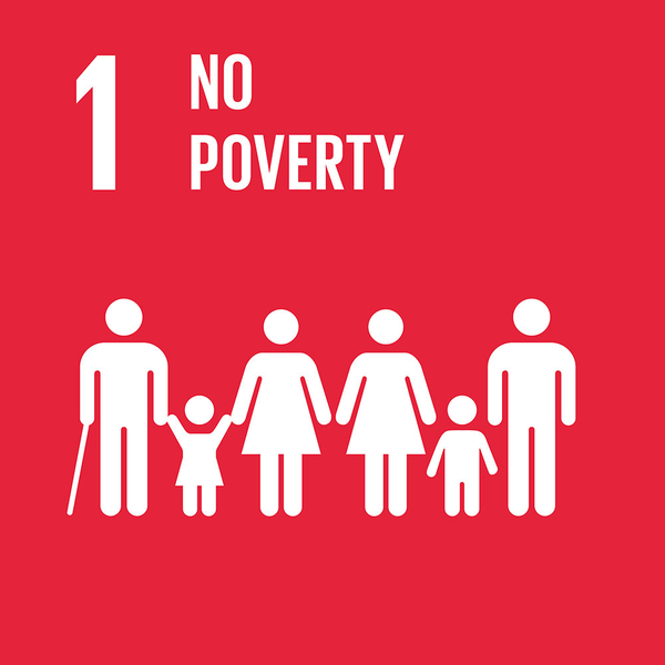 What does no poverty mean?
