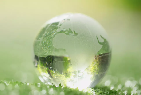 Why sustainability is the new digital