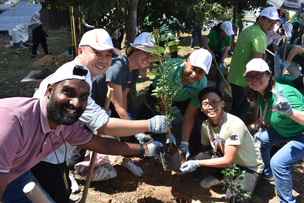 Plexus Tree Planting Program