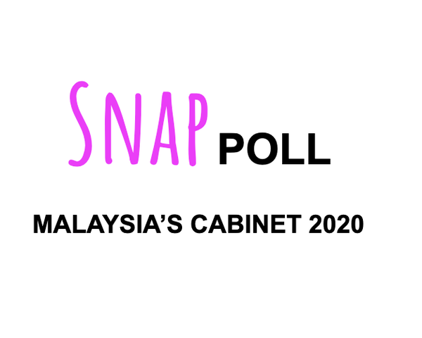 AMCHAM Snap Poll on Malaysia’s Cabinet 2020
