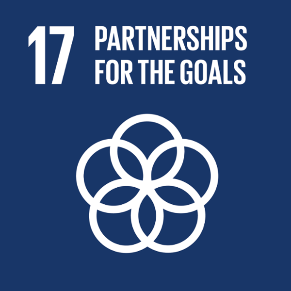 The Role of Business in Ensuring Partnerships for the Goals