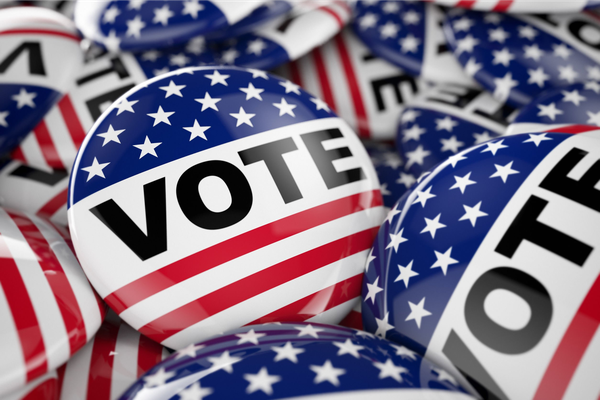 U.S. Elections: An Overview by IAPC