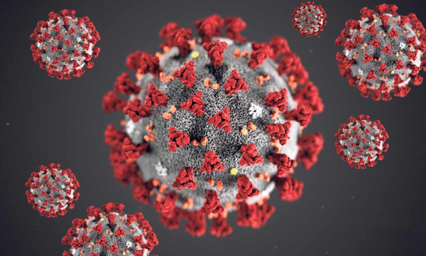 Coronavirus: Why You Must Act Now