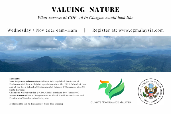 Valuing Nature: What success at COP26 in Glasgow would look like
