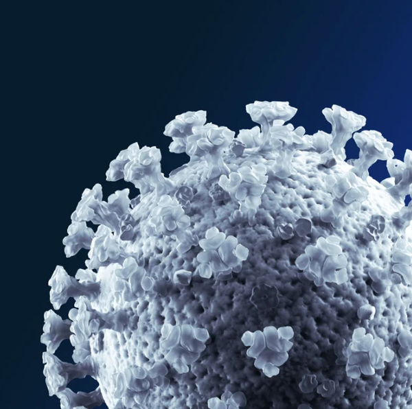 Beyond coronavirus: The path to the next normal